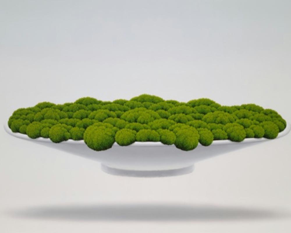 양종용 개인전 《이끼: 공존의 시대》