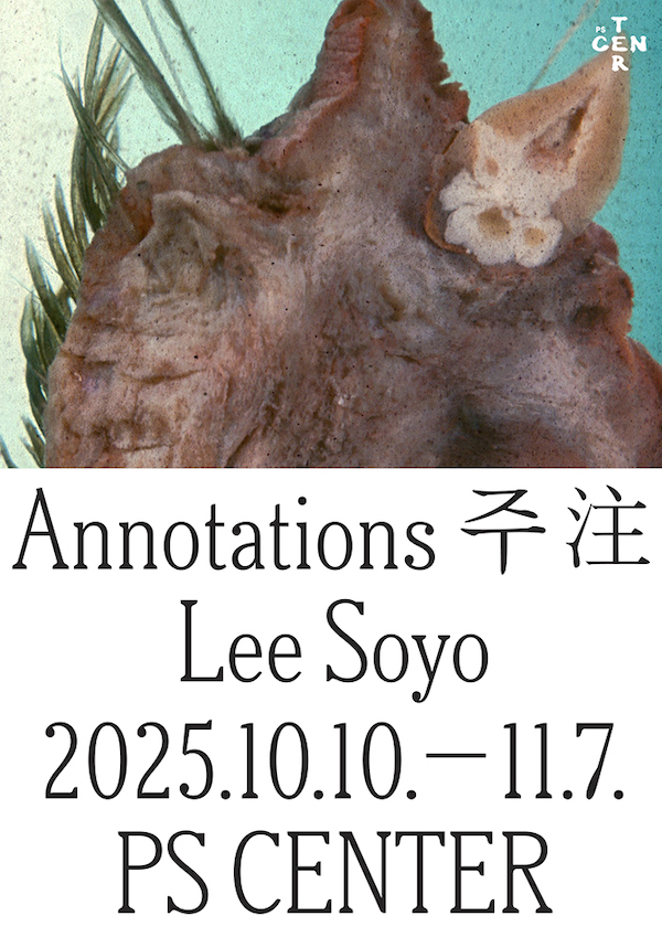 ac5ab145780b8f05e1dd12411729663e_1759386971_8817.jpeg