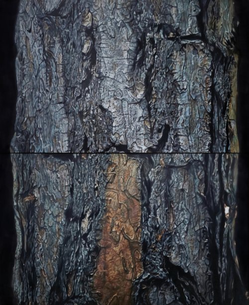 b9c1aee8e4437f3658dc67d877e78d70_1764251488_1873.jpg b9c1aee8e4437f3658dc67d877e78d70_1764251488_1873.jpg