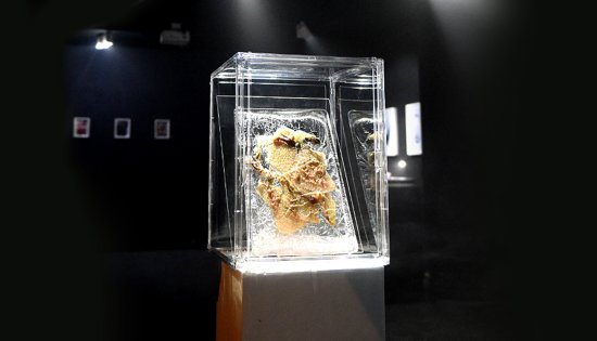 b470bfc1130b19019bbe868b0e8829c3_1771401892_4463.jpg b470bfc1130b19019bbe868b0e8829c3_1771401892_4463.jpg